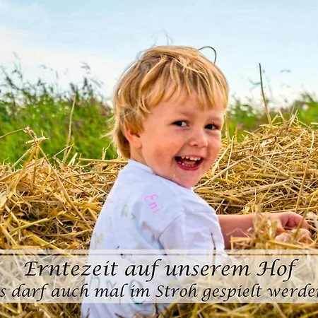 Apartamento Frohsinn - Gulfhof Nahe Greetsiel Mit Sauna, Garten & 3 Schlafzimmern *