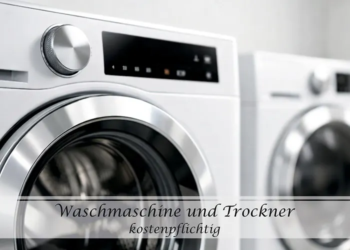 Frohsinn Im Historischen Gulfhof Apartment *