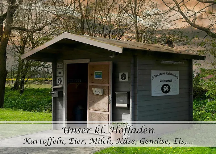 Frohsinn Im Historischen Gulfhof Apartment Krummhörn